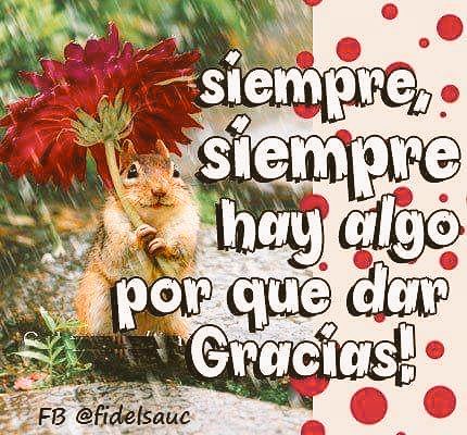 Afbeeldingsresultaat voor siempre hay algo porque vivir
