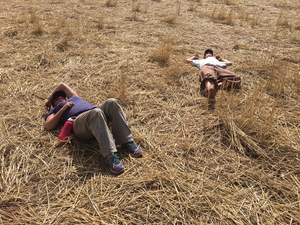 LynleyWallis's tweet image. #geophys in 36 deg is killing us #toohot #needarest #whereisourmassage? #histarch #Kapunda @FLINArchaeology