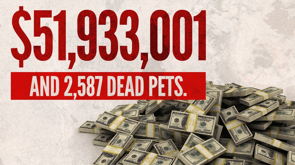 mimmir3000's tweet photo. @nwinograd @peta https://t.co/NJUuL3vaAe