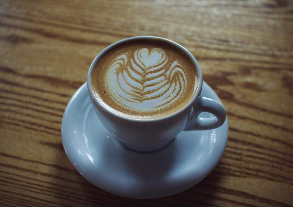 Fox in the Snow Cafe tweet media