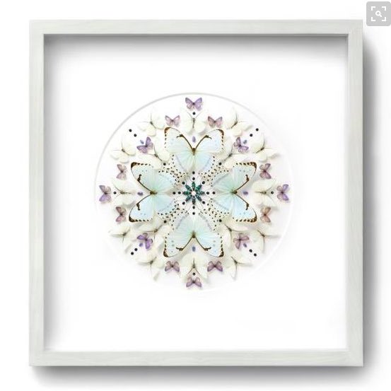 tkpleslie's tweet photo. Beautiful! MRT @JennBrouwer TOP PICK: Pheromone by Christopher Marley #art #kaleidoscope #gorgeous https://t.co/TFAQHGQltp #hpmkt