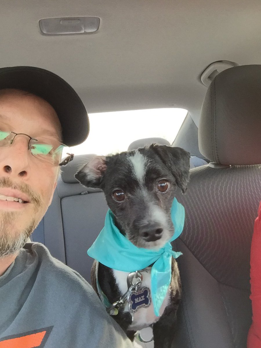 Hostpuppies's tweet photo. Max is back !! #shelterdogsrock #Hostpuppies https://t.co/VkwlzhEpSm