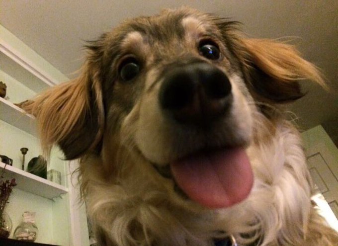 View image on Twitter