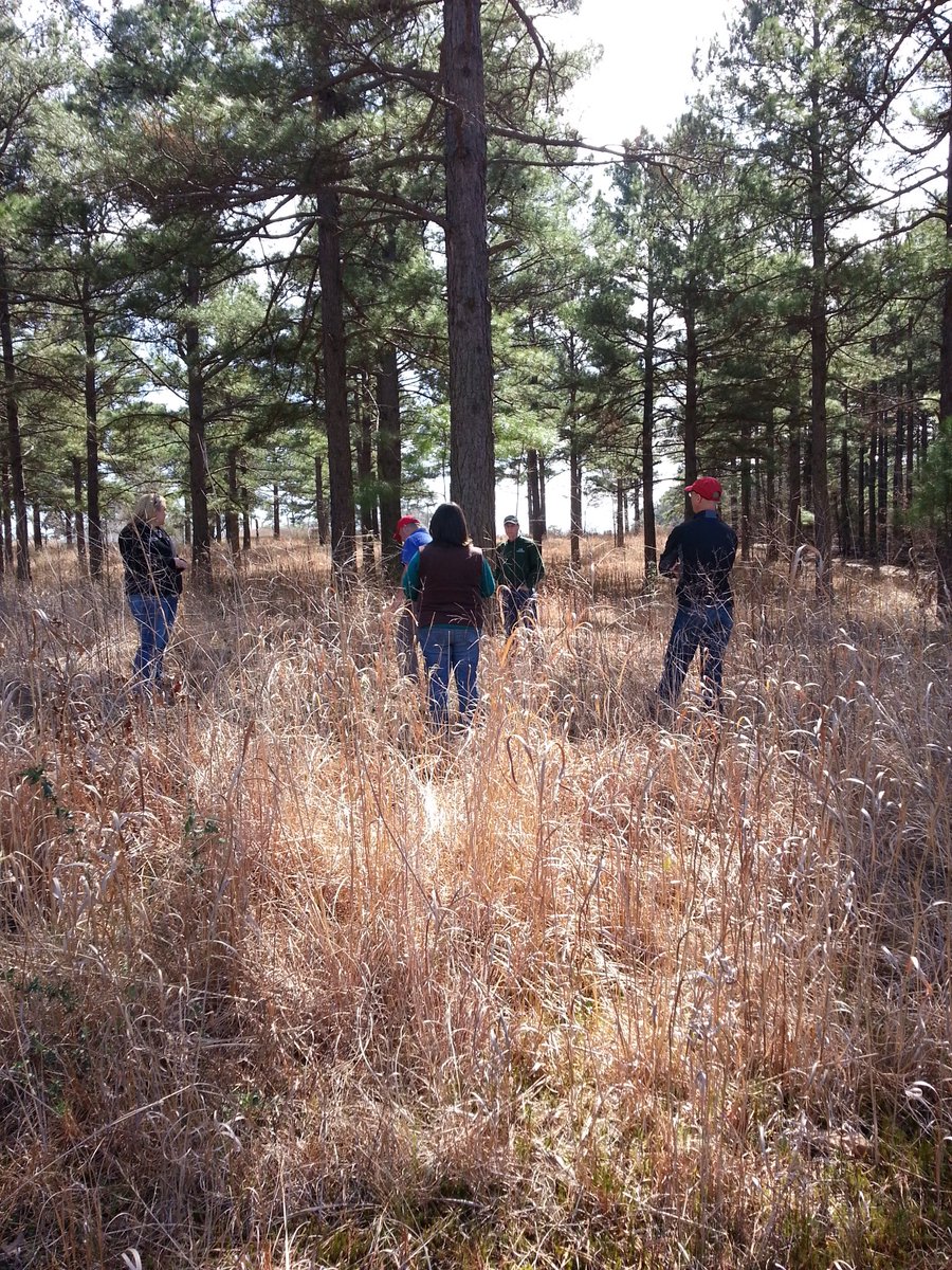 OtterGreer's tweet photo. Learning about #quail habitat at #SWREC Hope #UAEX https://t.co/tp4duy9XMY