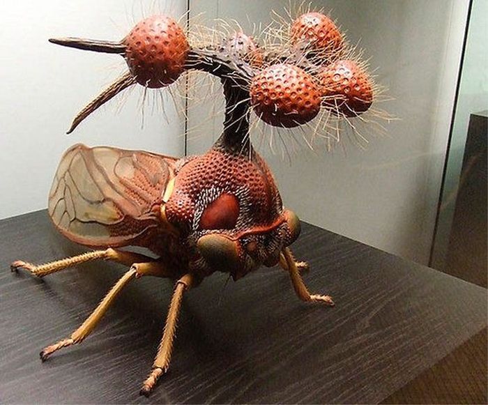 startupverve's tweet photo. 20 amazing pictures of the most #weird &amp; #funny #Animals in nature. https://t.co/1ZutRzi2B7…  #distraction https://t.co/vlrYyJcK7a