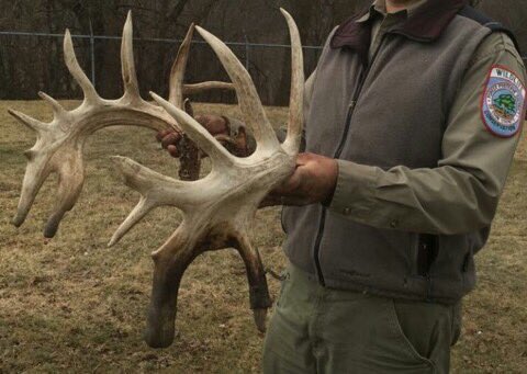 thwackem's tweet image. The sheds from Illinois, Cook County Forest Preserve monster. As incredible as we all thought they were gonna be!