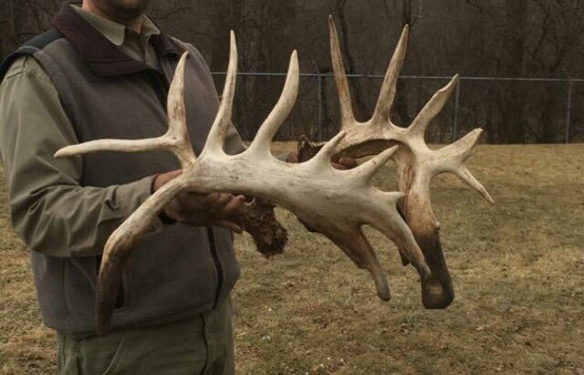thwackem's tweet image. The sheds from Illinois, Cook County Forest Preserve monster. As incredible as we all thought they were gonna be!