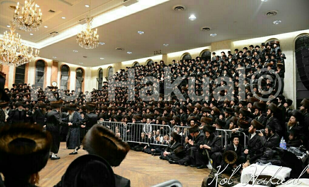 KolHakual's tweet photo. KolHakual Exclusive: Best shots of the kual at the chasuna last week B'beis Satmar, Bobov-45, Spinka, Dinev. https://t.co/jwzu9bk0xq