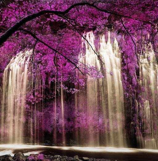 Beautiful2visit's tweet photo. https://t.co/156RU6Pasw