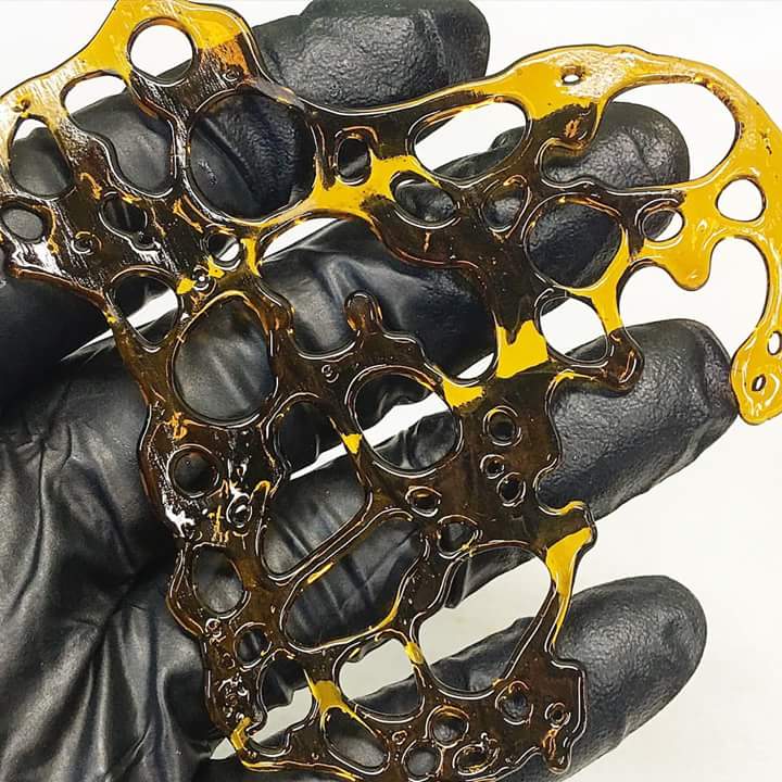 WaxlabXtracts's tweet photo. Sour cherry kush!! Check out the clarity!!! #ommp #710 #dabs #extracts #topshelf #oregongold #onelove #staylifted https://t.co/fgyTZVmnH6