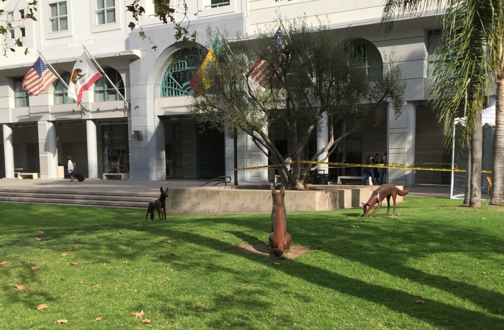plantsofLA's tweet photo. Coyotes in their native habitat? https://t.co/exm2jA9IUd