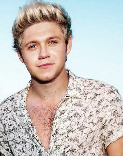 1dfantx85's tweet photo. Niall's chest hair does things to me that I cant say in public twitter. #NiallHoran #ChestHair #supporttoniall https://t.co/Xk07gbbWkC