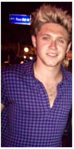 1dfantx85's tweet photo. Niall's chest hair does things to me that I cant say in public twitter. #NiallHoran #ChestHair #supporttoniall https://t.co/Xk07gbbWkC
