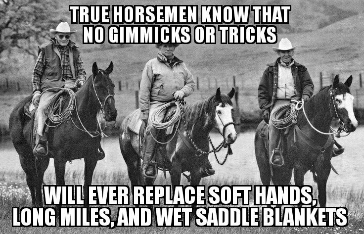 RidinInThePines's tweet photo. Preach 🙌🏻👏🏻 #truehorseman #BillDorrance #RayHunt #TomDorrance https://t.co/BiD69LIRHc