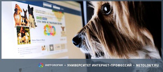 twidium's tweet photo. Узнайте, чем привлечь аудиторию соц. сетей в курсе «Продвижение бизнеса в социальных сетях». https://t.co/QxXhkoOPjn https://t.co/TnAR0XVlzH