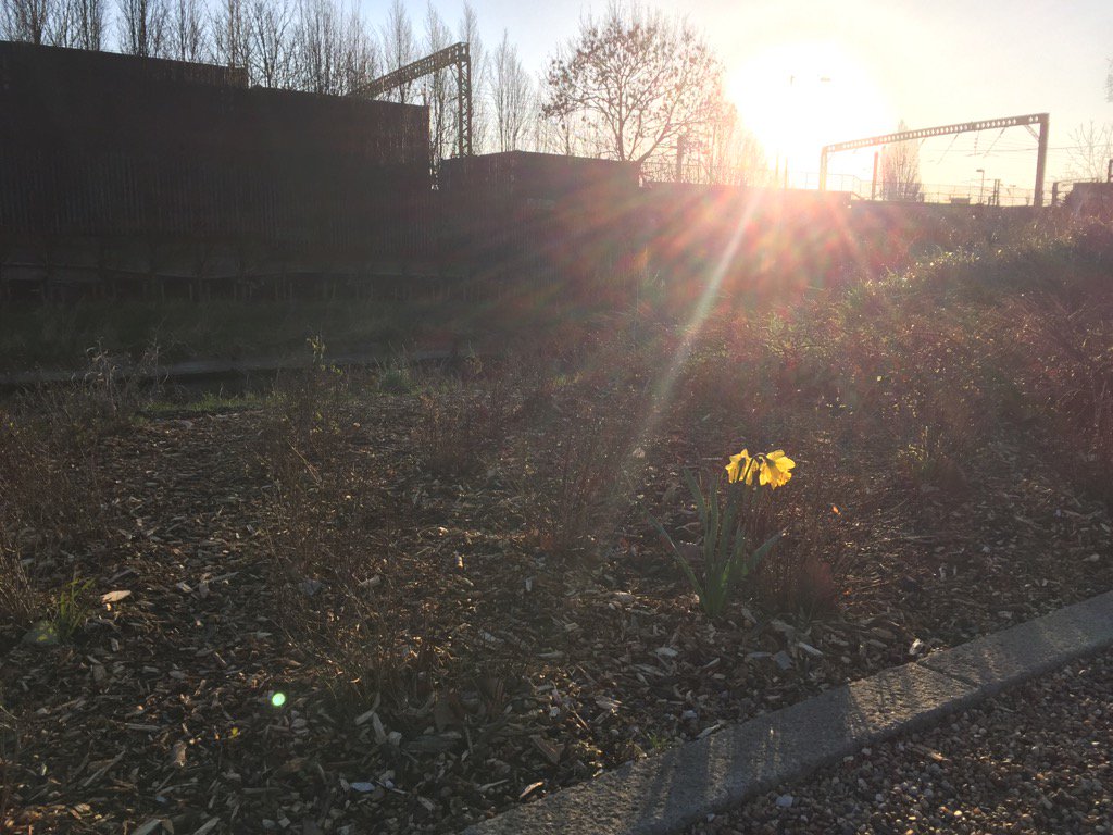 thirkettle's tweet image. Someone didn't get the memo...