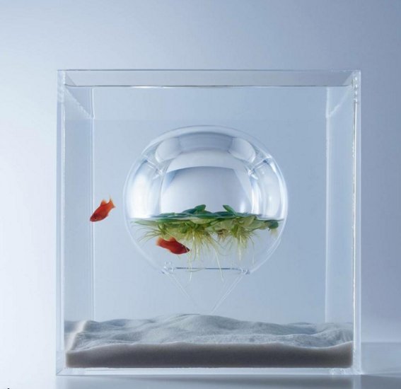 ArchForDogs's tweet image. Waterscape exhibition by #archfordogs participant @misawasami currently on display at Taipei LinkLion. #waterscape