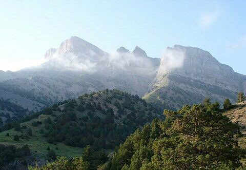 ssanazzz's tweet photo. #Tandoreh #nationalPark #Reservs #TimeToVisitIran #travel #travelblogger #travelphotography #traveltips https://t.co/Xwbn2mC45c