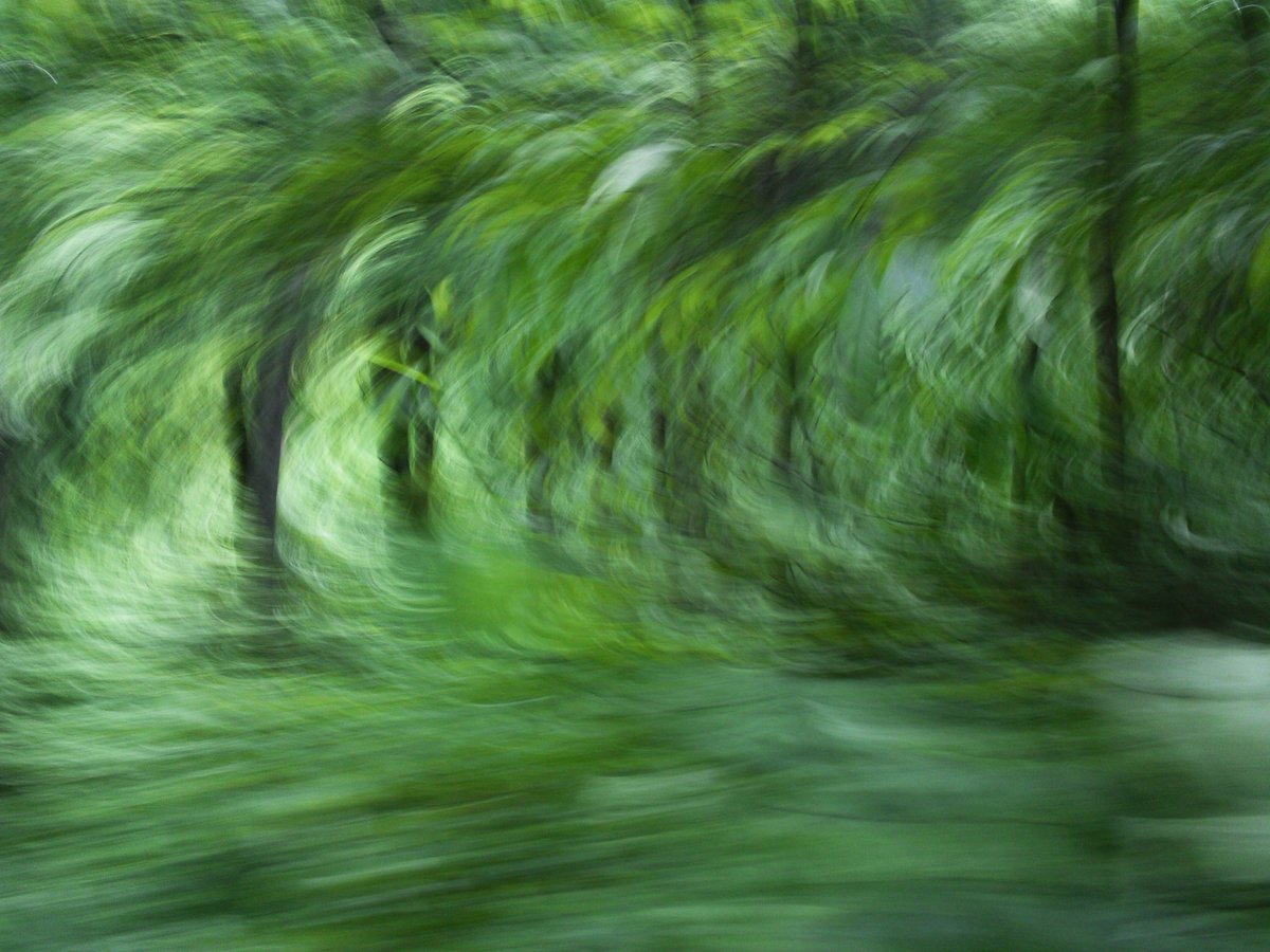 magee_bertie's tweet photo. #lifeinmotion #zipline Actual picture, not edited https://t.co/hBvIhEXFMF