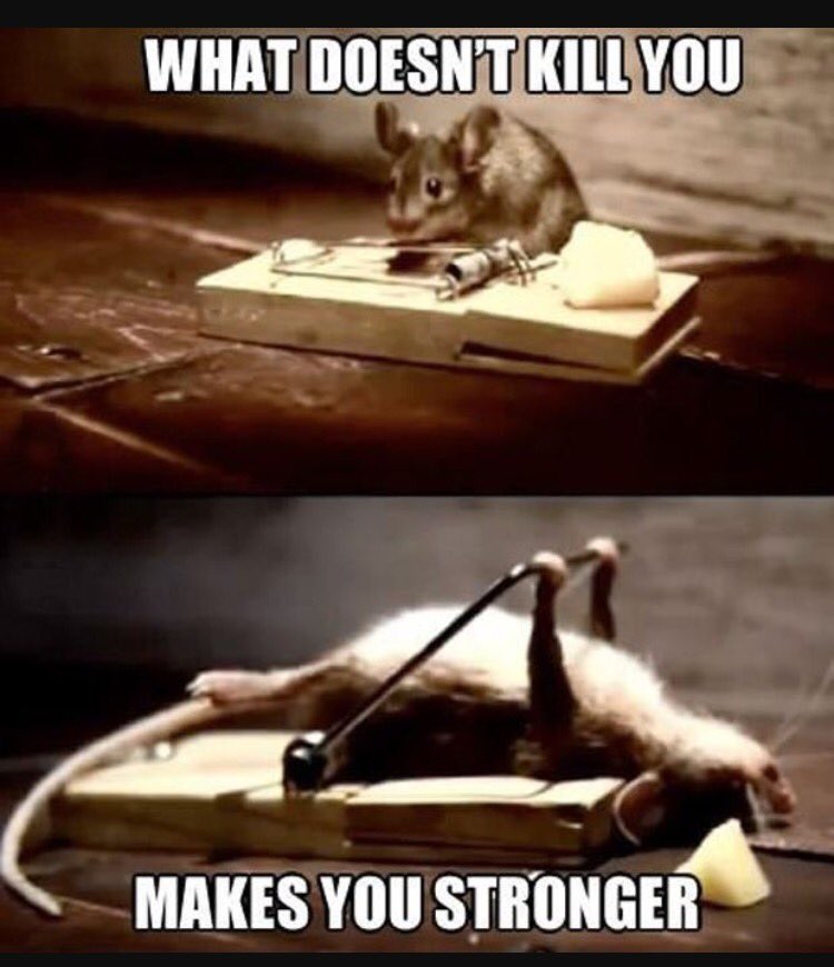 WHamptonShugart's tweet photo. Most of my patients theory on ther-ex.... #ItsNotThatPainful....kinda https://t.co/oms7t0SWsU