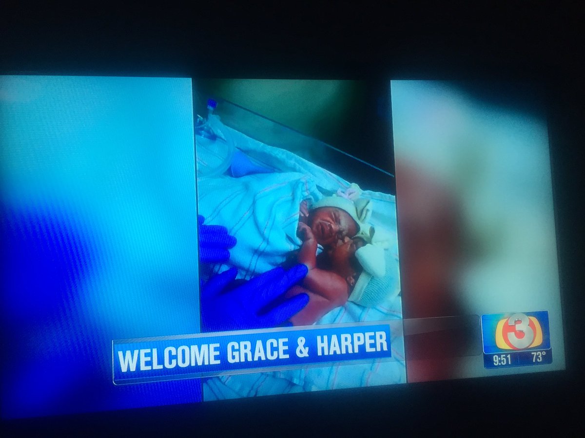 Aw baby!! (Well babies!) introducing the newest members of #azfamily. #sosweet