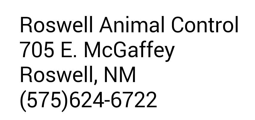 ElsaZEC's tweet photo. https://t.co/ll6Upmv1VT
#NM AM I YOUR CAT? I CAN BE. SAVE
@NewMexico @RoswellNMTrue @NMnews_online @RoswellNMProtes https://t.co/ALKWfaSF2O