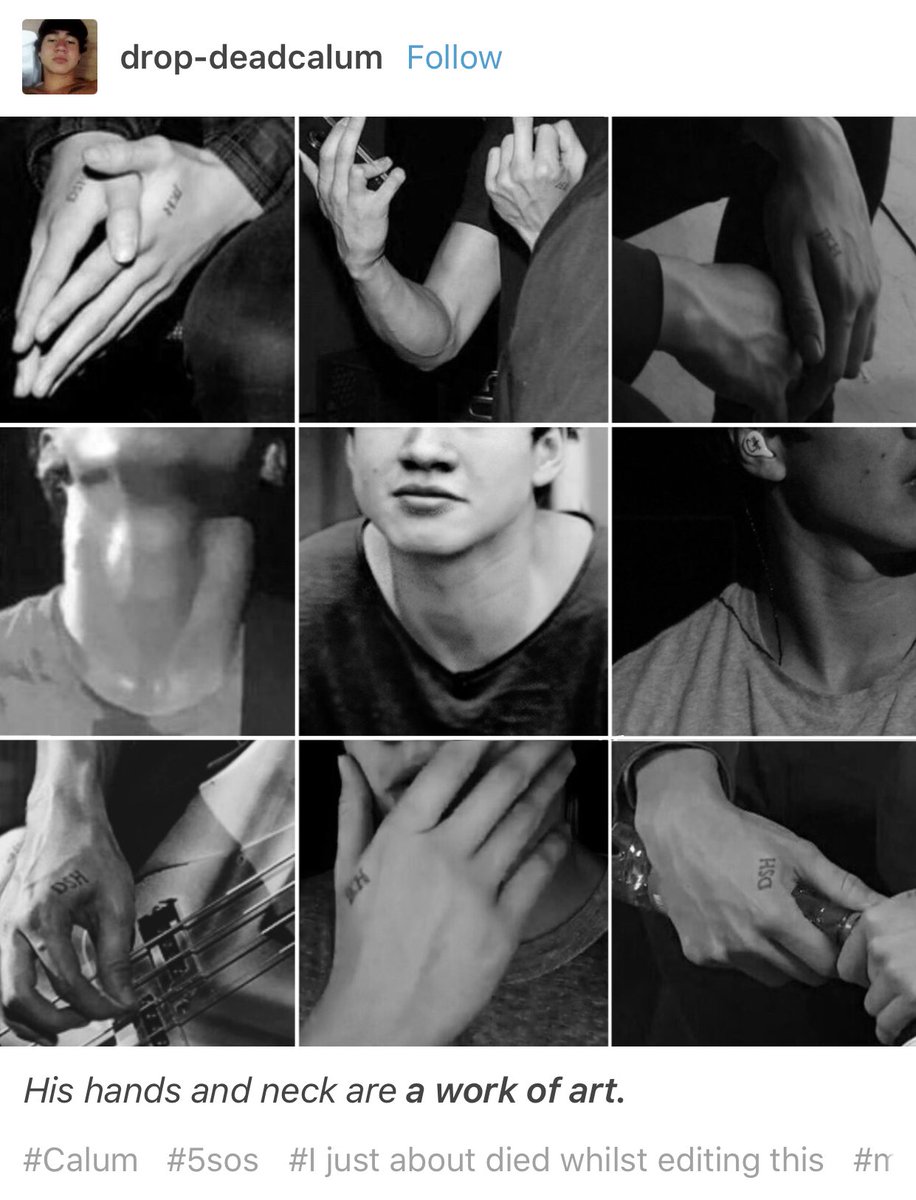 5SOSTumblrx tweet picture