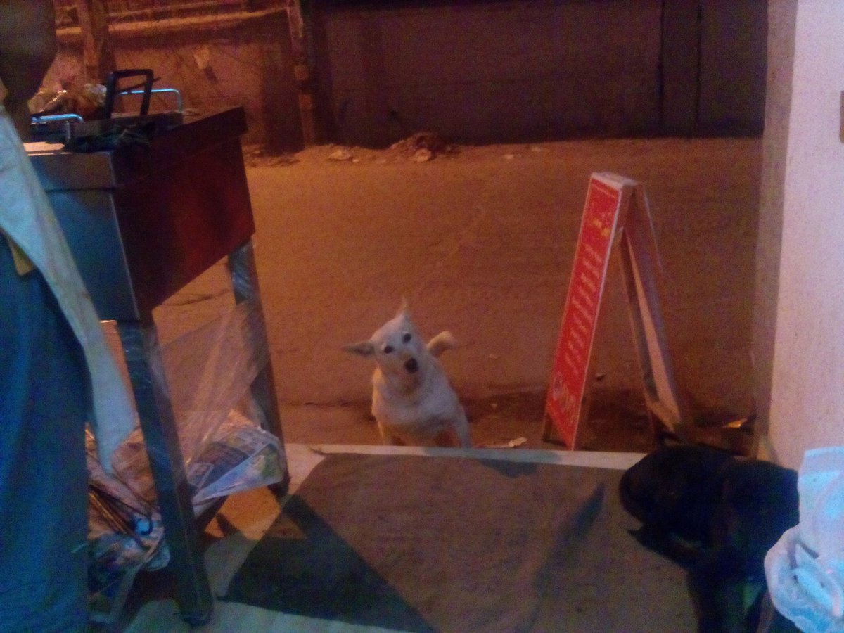 kunal_pasari's tweet photo. Someone peeping straight at my chicken. https://t.co/qDxzr9bDS6