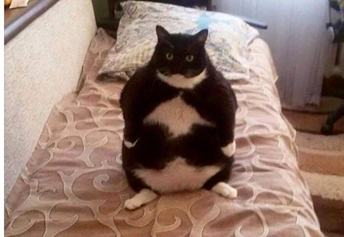 BikeNerd tweet media