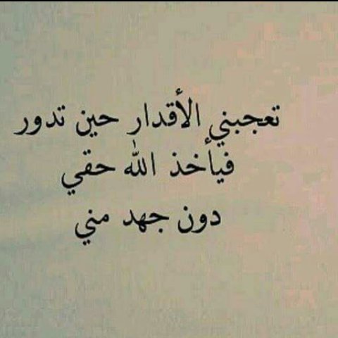 alaa_elfky's tweet photo. https://t.co/ITJyccet1G