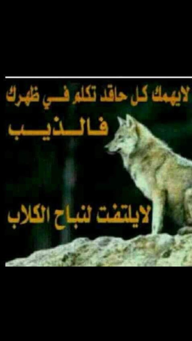 حلم (@hader7718) on Twitter photo 