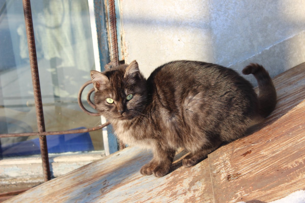 mybugurt's tweet image. 