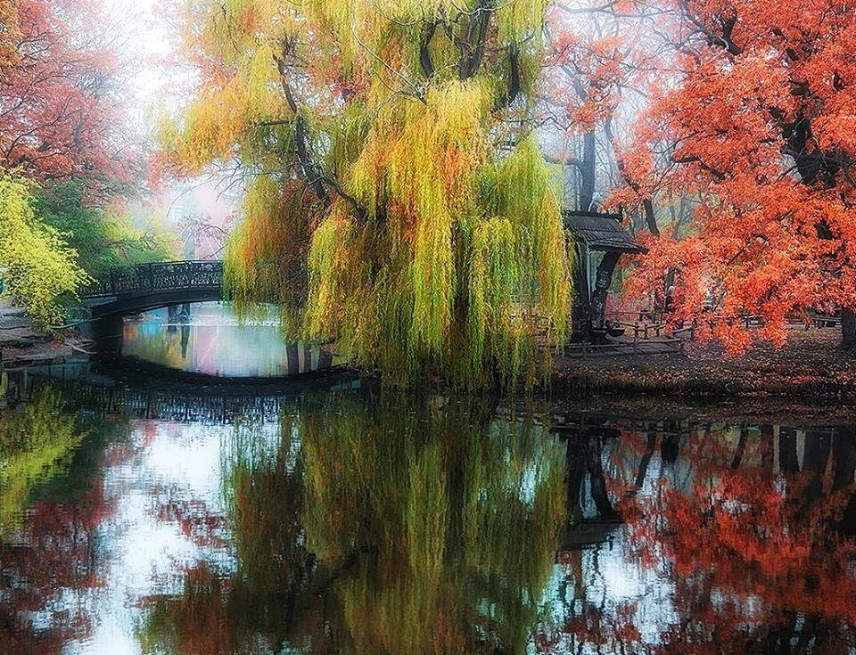 MarionSpekker's tweet image. @marienassar_ 
Good morning :-)) 🌷🌷