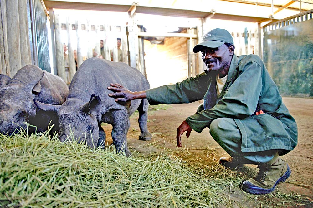 The future of rhino in our hands <a href="/SANParks/">SANParks</a> <a href="/EZEMVELOKZNWild/">EZEMVELO KZNWildlife</a> #WorldWildlifeDay <a href="/Rhino_Babies/">Care for Wild-Rhinos</a> ppf.info/1629.htm