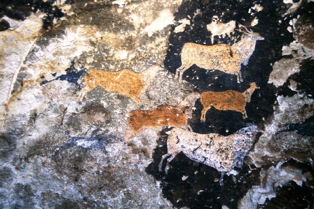 From thousands year old artwork on rocks to a consideration of art in the curriculum today artlink.co.za/news_article.h…