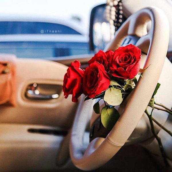 ي رب نسألك عوناً ونرجوك لطفاً ،فَ يسر لنا كل خير ، يا أرحم الراحمين ,                   
ﺻﺑٱﺡ _ٱﻟﺨﯧر ،