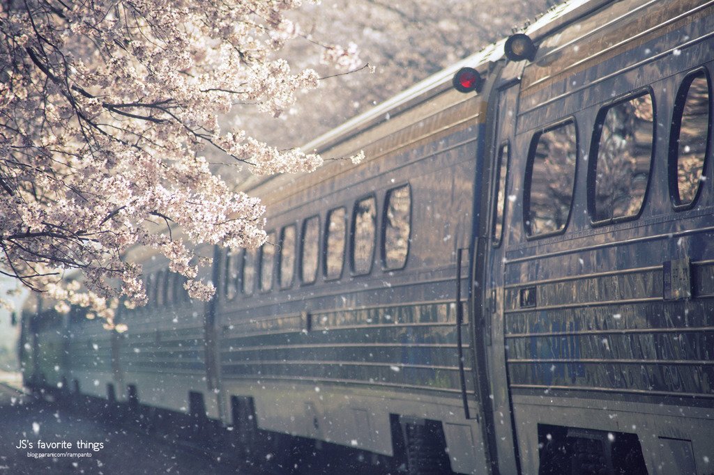 Feel the warmth of spring?// 春の暖かさを感じます？