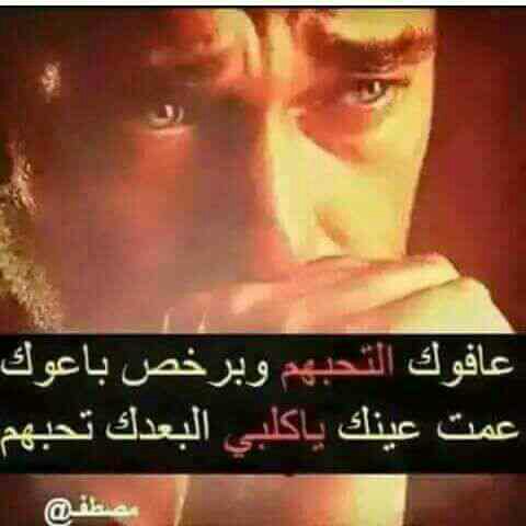 saef3357's tweet photo. https://t.co/dRibFGlfXj