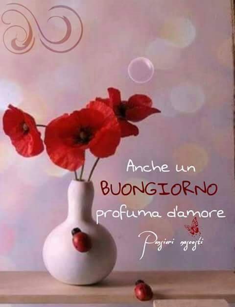 @a_sabetta <a href="/FerratoPaola/">Paola Ferrato</a> <a href="/StellaMartina2/">StellaMartina</a> <a href="/Stefychisono/">Stefy</a> <a href="/Lilly_Swing/">Liliana**</a> <a href="/criss110174/">criss</a> <a href="/arica72/">Arianna72</a> A voi
