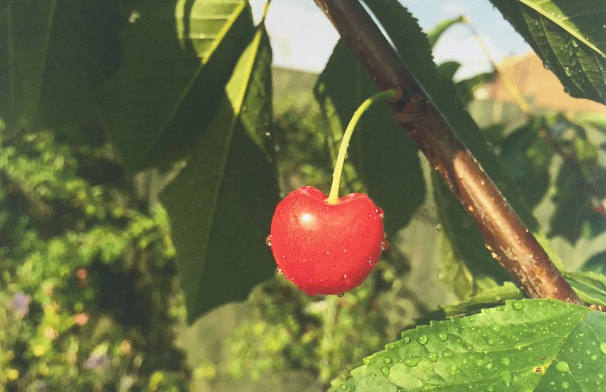 Stewards Art tweet media