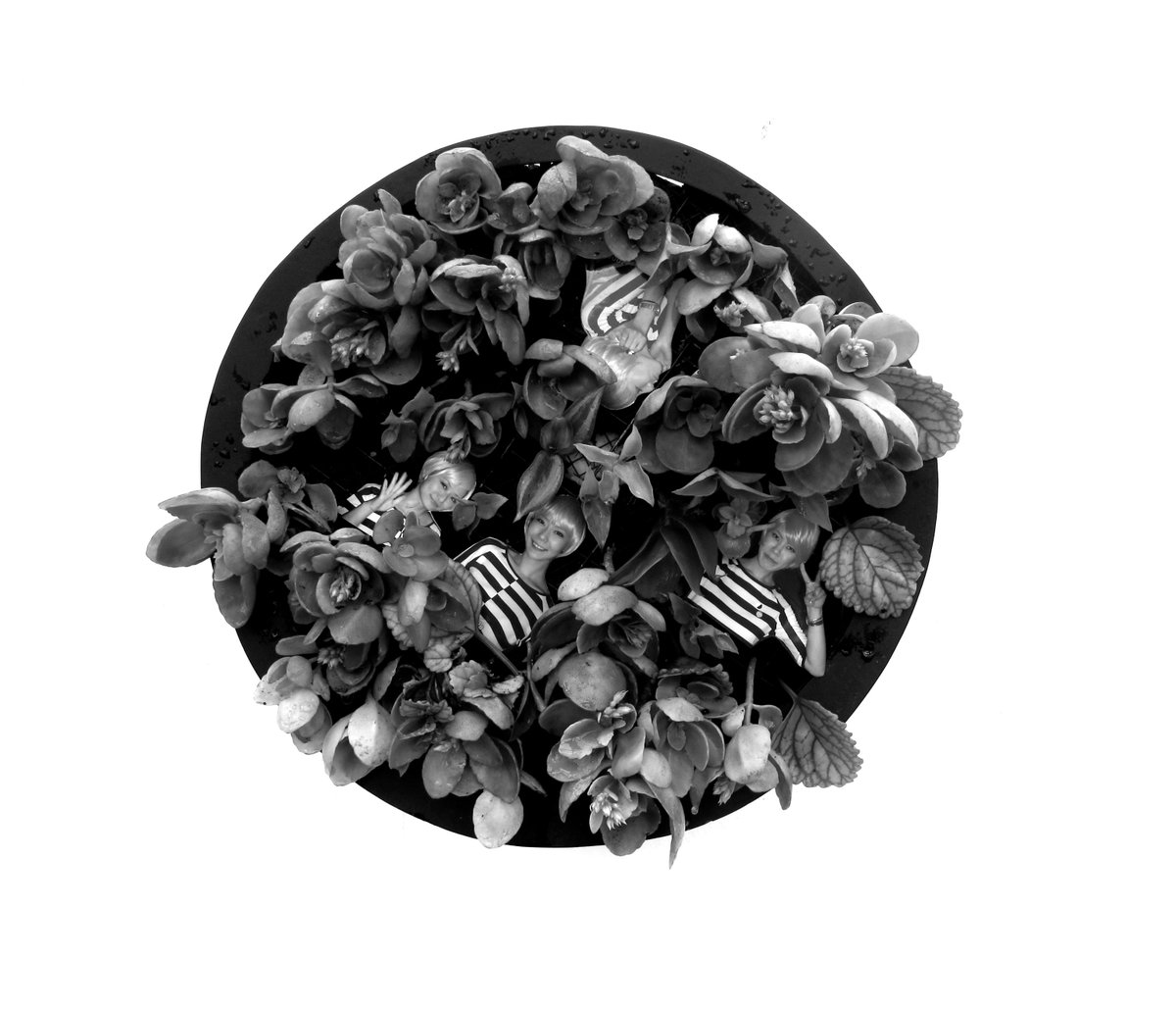 Honevo's tweet image. KYOTO BIONIC GARDEN - BIONIC PAINTING #BIONICPAINTINGS #CUADROSBIONICOS #BIONICART #ARTEBIONICO #KYOTO #GARDEN #ART