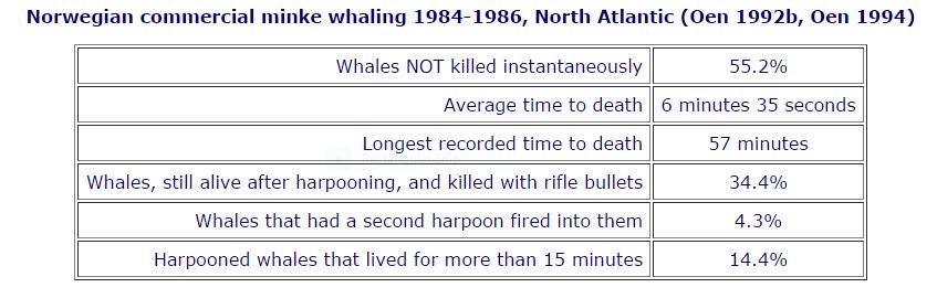 tlmakio's tweet photo. #Norway whalers ~ Longest recorded time to death 57 minutes (of suffering) #OpWhales https://t.co/0RyuvKivkh