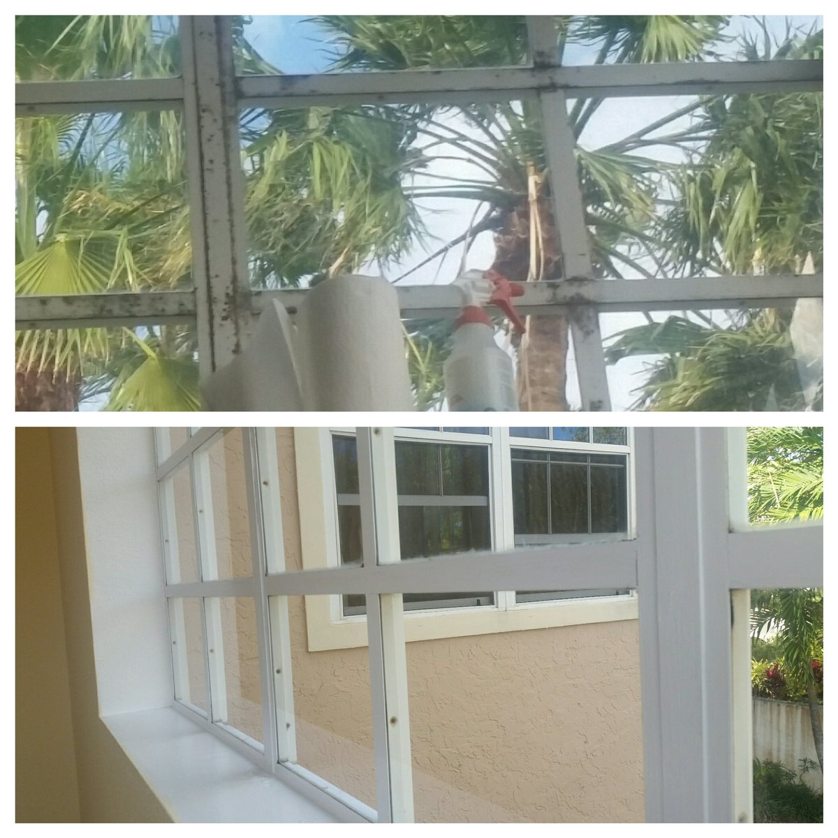 tcs_joe's tweet photo. Before and after window cleaning done by TCS https://t.co/ZZiAgtWcgl