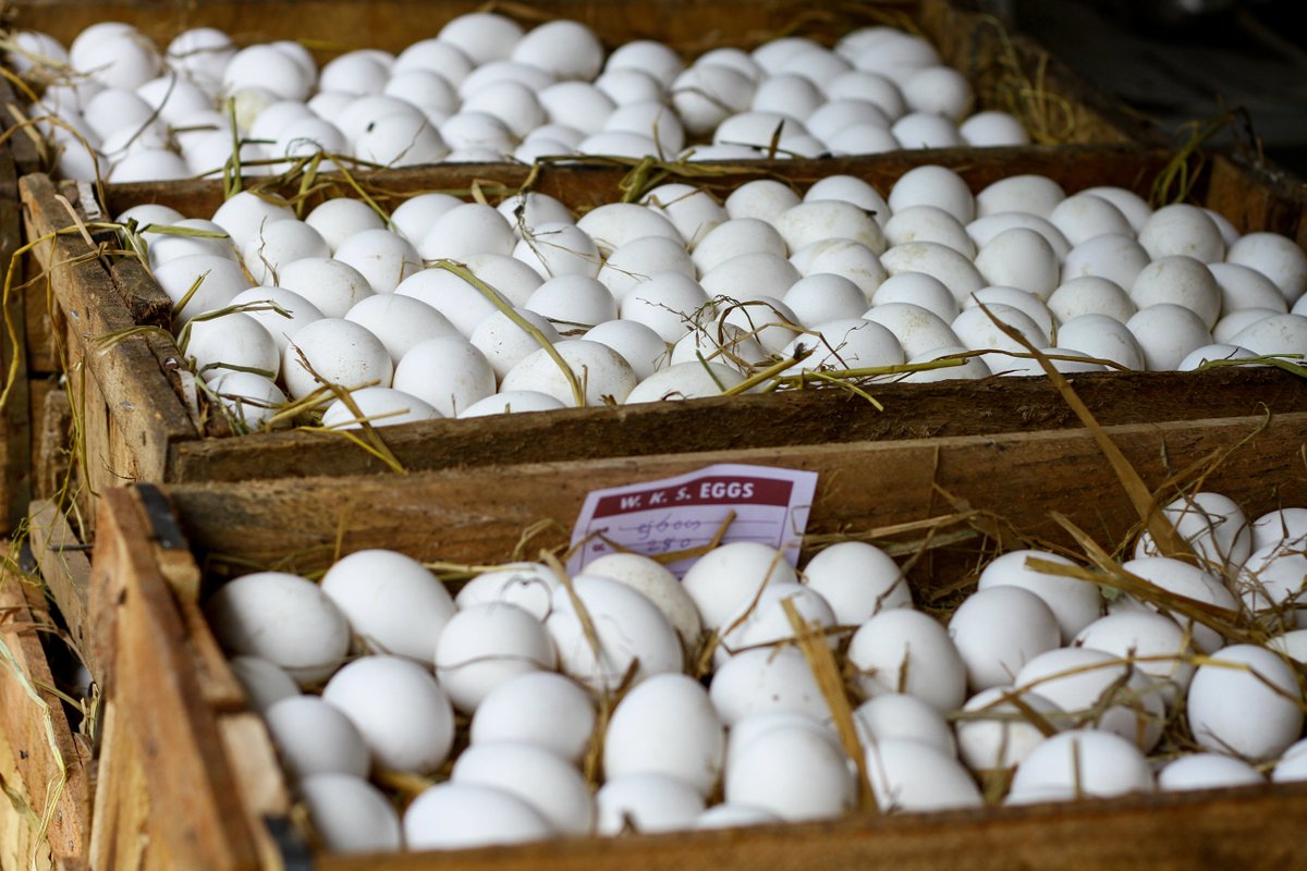 За сколько продать яйцо. Продам яйца куриные домашние. Сбор яиц и продажа игра. Торговое место для продажи яиц. Цена яйца куриного в Молдове на базаре.