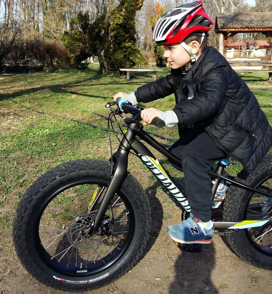 cygnus fat bike