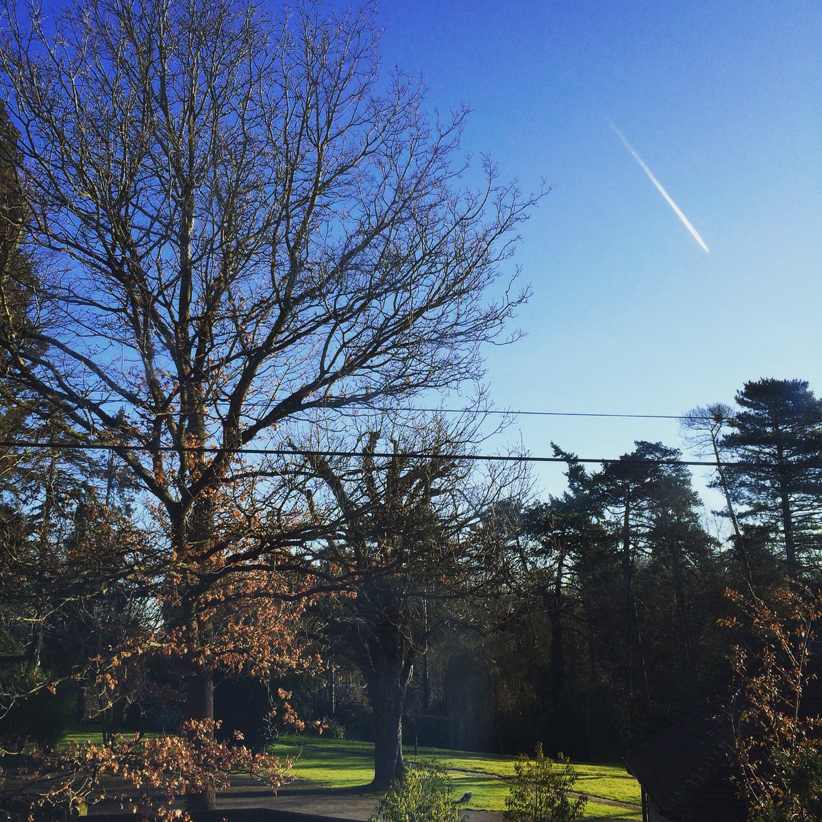 Jess Appleton tweet media