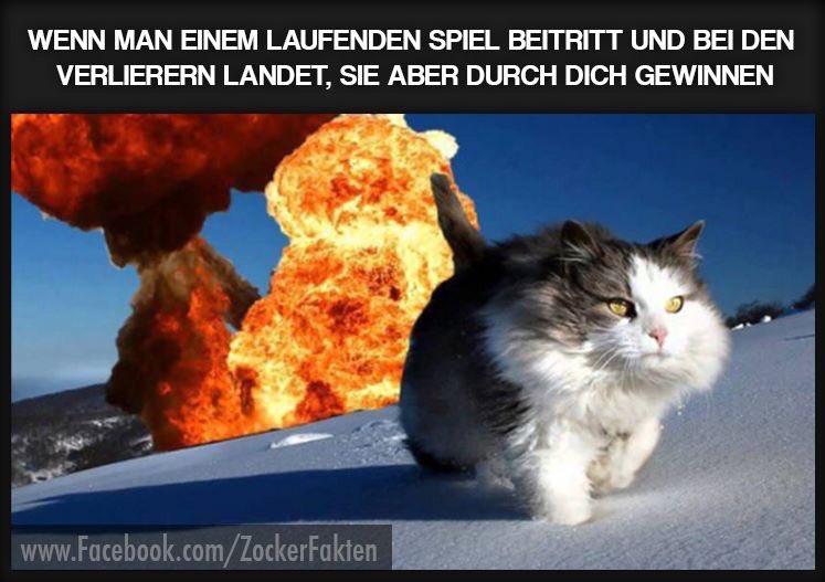 YugInvadeR's tweet image. Ich feier das grad so hart :D #gaming #katze #muliplayer