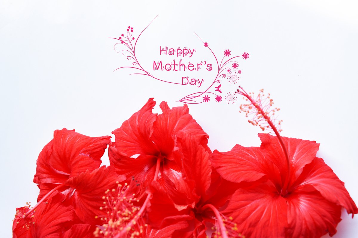 savourdotie's tweet photo. Create the perfect menu for your perfect mother this #MothersDay: https://t.co/FoTdUgaAG1 https://t.co/lqtjPvAonl