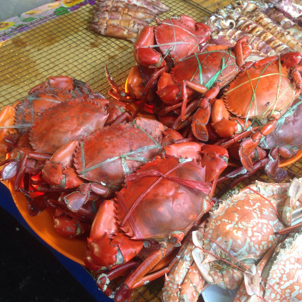 KKCity's tweet photo. Sayap ayam, buntut ayam, rumpai laut, hinava &amp; ketam.. Bah jemput makan semua 😭😭😭 https://t.co/BnMoyu37mV
