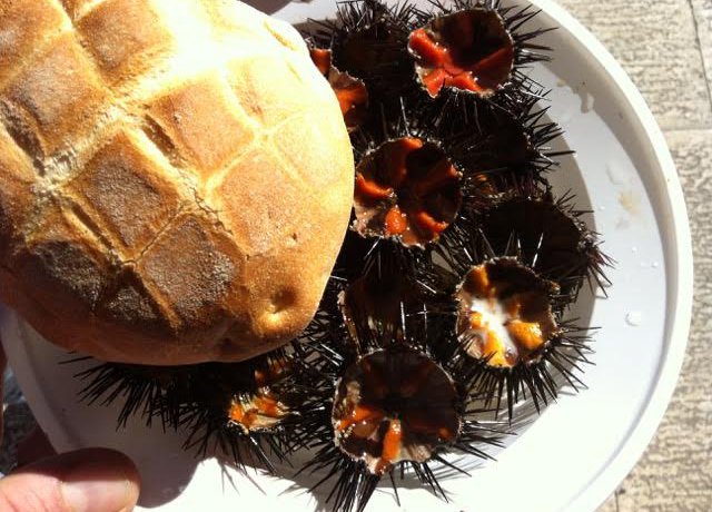 identitagolose's tweet photo. La storia di Onofrio Schingaro.Una vita passata al molo di San Nicola (BA) tra ricci e cozze https://t.co/yvl1QM6963 https://t.co/JHAclIIY4o
